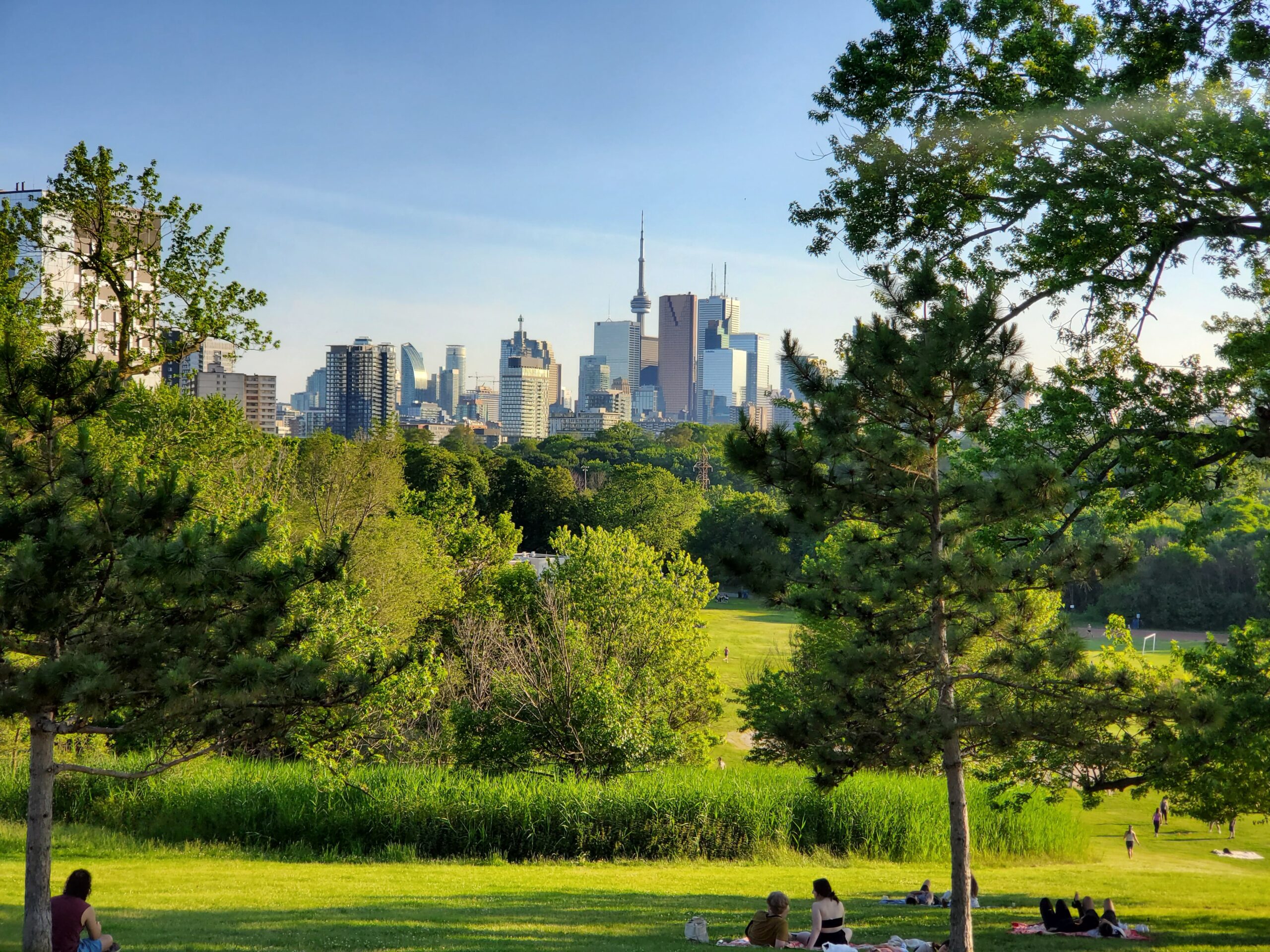 Transitioning Cities Towards a Nature-Based Future